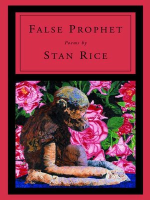 cover image of False Prophet